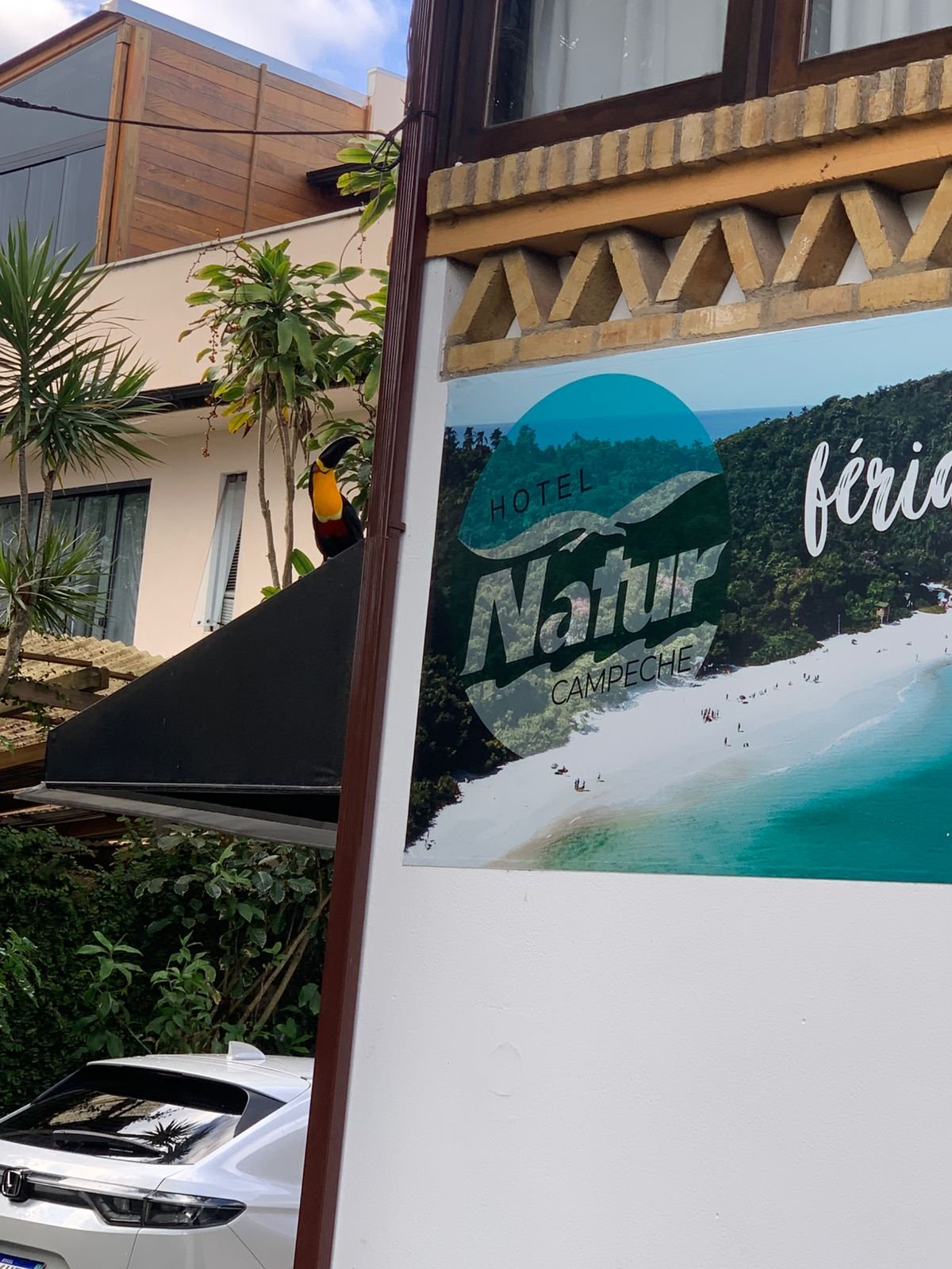 Hotel Natur Campeche - Foto 110